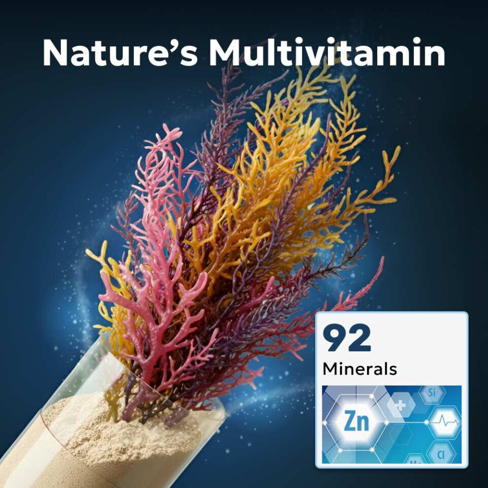 WellaNaturals image